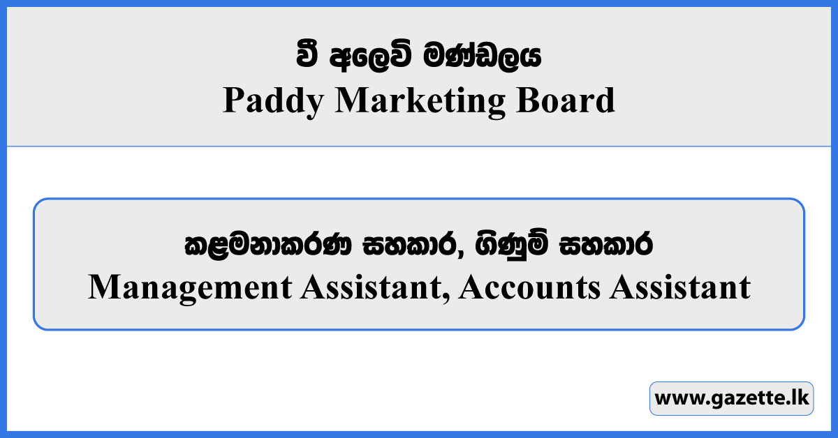 Management Assistant, Accounts Assistant - Paddy Marketing Board Vacancies 2026