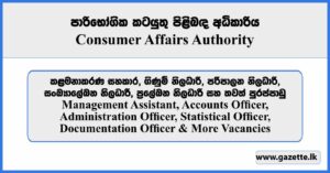 Management Assistant, Accounts Officer, Administration Officer, Statistical Officer, Documentation Officer & More Vacancies - Consumer Affairs Authority 2026