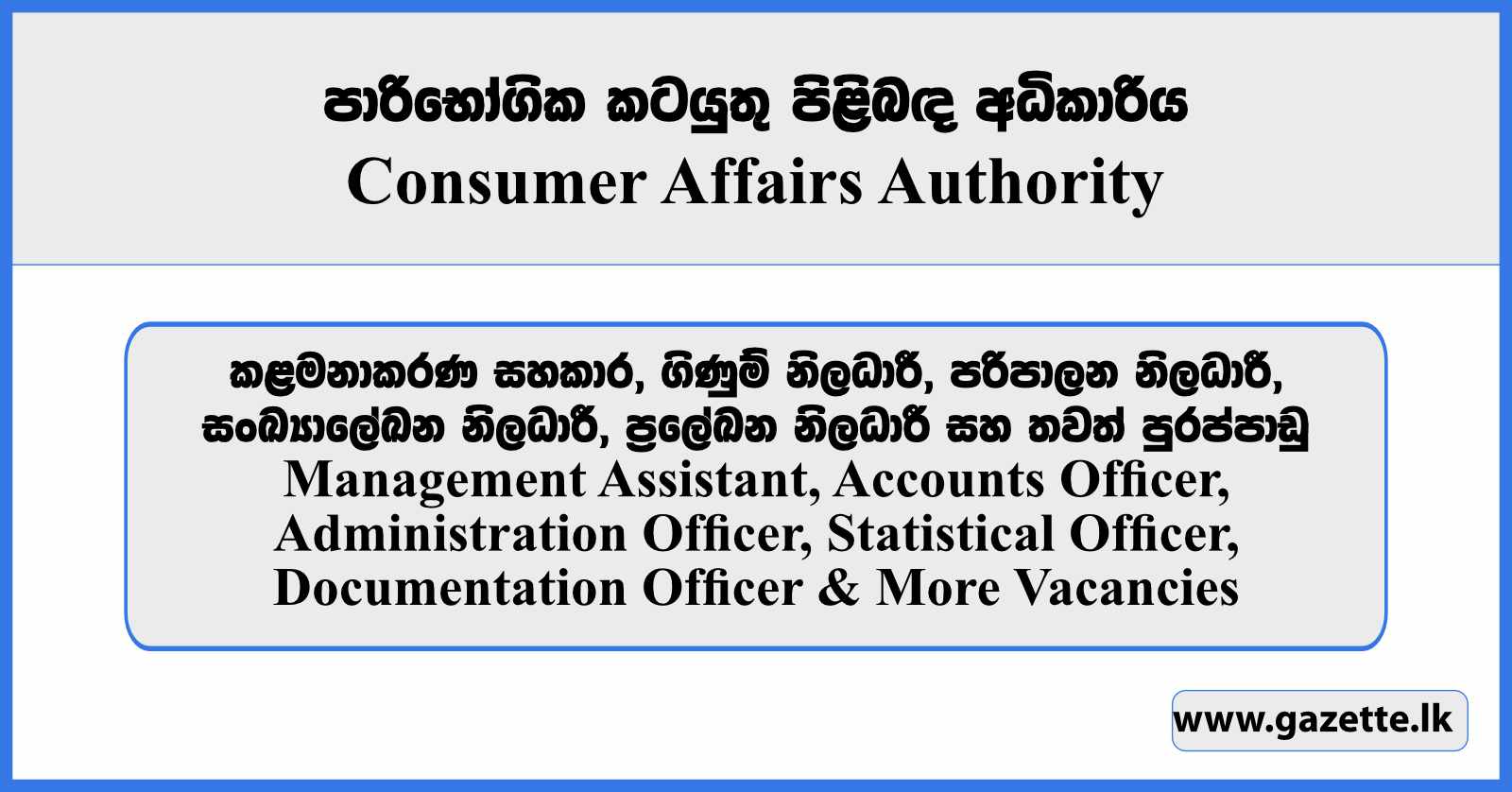 Management Assistant, Accounts Officer, Administration Officer, Statistical Officer, Documentation Officer & More Vacancies - Consumer Affairs Authority 2026