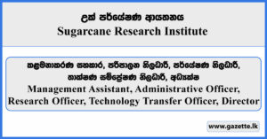 Management Assistant, Administrative Officer, Research Officer, Technology Transfer Officer, Director - Sugarcane Research Institute Vacancies 2026
