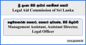 Management Assistant, Assistant Director, Legal Officer - Legal Aid Commission Vacancies 2024