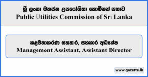 Management Assistant, Assistant Director - Public Utilities Commission Vacancies 2025