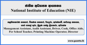 Management Assistant, Audit Assistant, Driver, Cook, Office Aide, Per School Teacher, Printing Machine Operator, Director - NIE Vacancies 2025