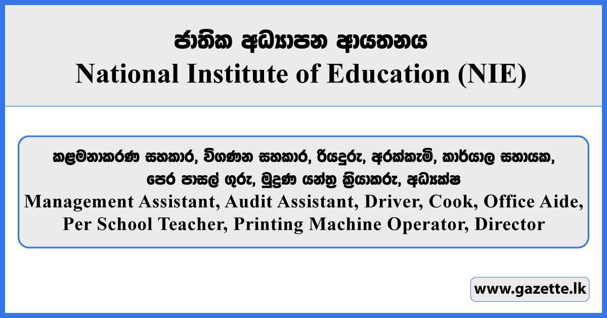 Management Assistant, Audit Assistant, Driver, Cook, Office Aide, Per School Teacher, Printing Machine Operator, Director - NIE Vacancies 2025