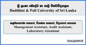 Management Assistant, Audit Assistant, Laboratory Attendant - Buddhist & Pali University of Sri Lanka Vacancies 2025