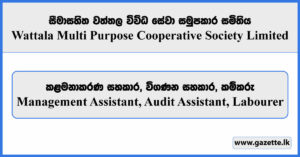 Management Assistant, Audit Assistant, Labourer - Wattala Multi Purpose Cooperative Society Limited Vacancies 2025