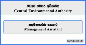 Management Assistant - Central Environmental Authority Vacancies 2024