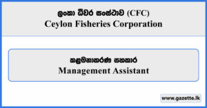 Management Assistant - Ceylon Fisheries Corporation Vacancies 2026