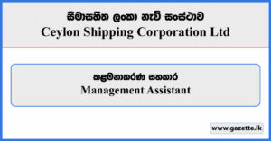 Government Management Assistant Vacancies 2023 - Ceylon Shipping Corporation Vacancies