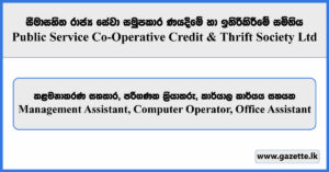 Management Assistant, Computer Operator, Office Assistant - Public Service Co-Operative Credit & Thrift Society Limited Vacancies 2025