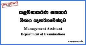 Management Assistant Vacancies - Department of Examinations Vacancies 2023