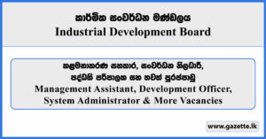 Management Assistant, Development Officer, System Administrator & More Vacancies - Industrial Development Board 2025