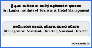Management Assistant, Director, Assistant Director - Sri Lanka Institute of Tourism & Hotel Management Vacancies 2024