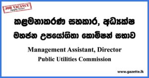 Management Assistant Vacancies, Director - Public Utilities Commission Vacancies 2023