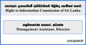Management Assistant, Director - Right to Information Commission Vacancies 2026