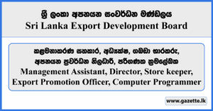 Management Assistant, Director, Store keeper, Export Promotion Officer, Computer Programmer - Sri Lanka Export Development Board Vacancies 2024