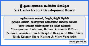 Management Assistant, Driver, Accounts Officer, Personal Assistant, Web/Graphic Designer, Office Aide, Book Keeper, Store Keeper & More Vacancies - Sri Lanka Export Development Board Vacancies 2025