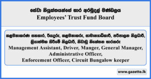 Management Assistant, Driver, Manger, General Manager, Administrative Officer, Enforcement Officer, Circuit Bungalow keeper - Employees' Trust Fund Board Vacancies 2025