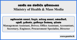 Management Assistant, Driver, Office Assistant, Accountant, Secretary, Engineer, Procurement Specialist, Director - Ministry of Health & Mass Media 2026