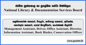 Management Assistant, Driver, Office Assistant, Information Assistant, Director, Book Binder, Conservation Officer - - National Library and Documentation Services Board Vacancies 2025