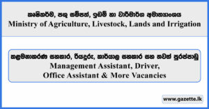 Management Assistant, Driver, Office Assistant & More Vacancies - Ministry of Agriculture, Livestock, Lands and Irrigation 2026