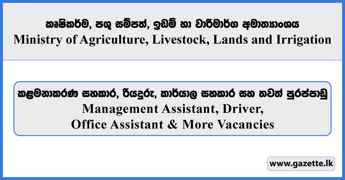 Management Assistant, Driver, Office Assistant & More Vacancies - Ministry of Agriculture, Livestock, Lands and Irrigation 2026