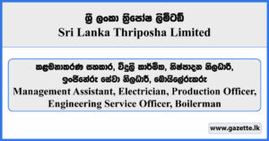 Management Assistant, Electrician, Engineering Service Officer, Production Officer, Boilerman - Sri Lanka Thriposha Limited Vacancies 2026