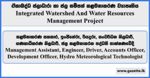 Management Assistant, Engineer, Driver, Development Officer - Integrated Watershed And Water Resources Management Project Vacancies 2024