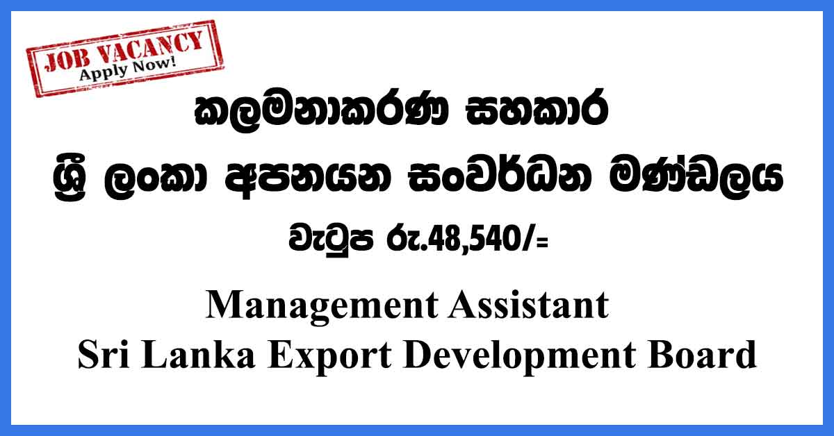Management-Assistant--Export-Dev