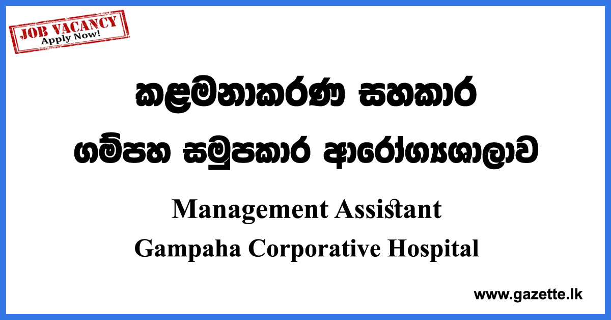 Management Assistant Vacancies 2023