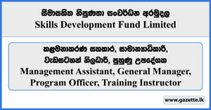 Management Assistant, General Manager, Program Officer, Training Instructor - Skills Development Fund Limited Vacancies 2024