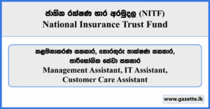 Management Assistant, IT Assistant, Customer Care Assistant - National Insurance Trust Fund Vacancies 2026