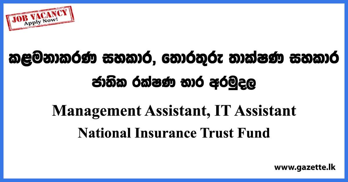Management Assistant Vacancies, IT Assistant - National Insurance Trust Fund Vacancies 2023