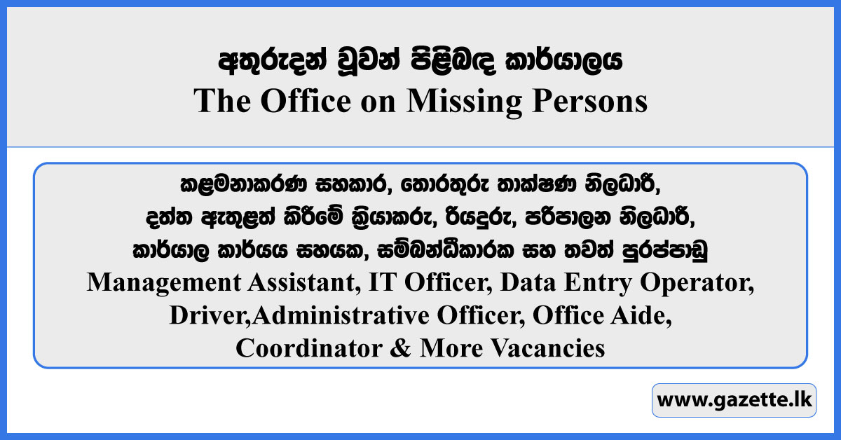 Management Assistant, IT Officer, Data Entry Operator, Driver, Administrative Officer, Office Aide, Coordinator & More Vacancies - The Office on Missing Persons 2026