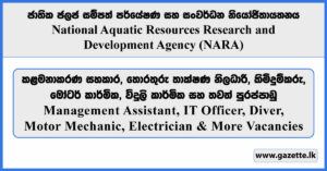 Management Assistant, IT Officer,Diver, Motor Mechanic, Electrician & More Vacancies