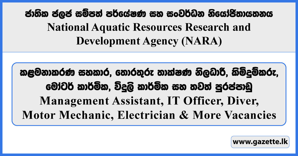 Management Assistant, IT Officer,Diver, Motor Mechanic, Electrician & More Vacancies