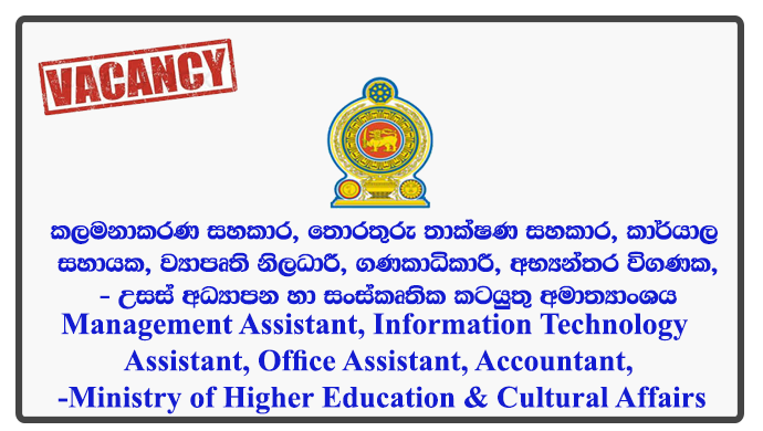 Management Assistant, Information Technology Assistant, Office Assistant, Project Officer, Accountant, Internal Auditor, Project Engineer - Ministry of Higher Education & Cultural Affairs