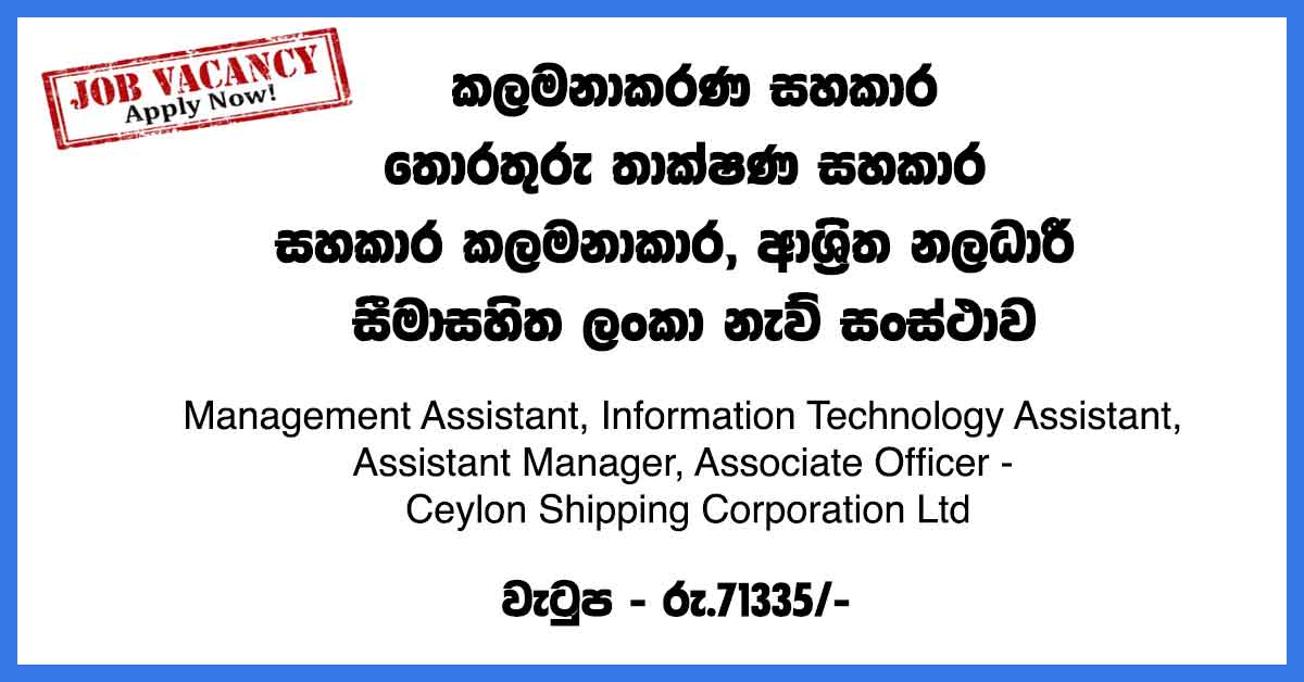 Management-Assistant,-Information-Technology-Assistant,