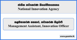 Management Assistant, Innovation Officer - National Innovation Agency Vacancies 2025