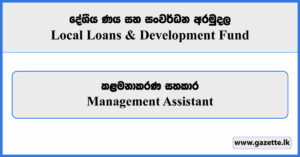 Management Assistant - Local Loans And Development Fund Vacancies 2026