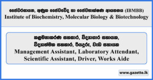 Management Assistant, Laboratory Attendant, Scientific Assistant, Driver, Works Aide - IBMBB Vacancies 2025