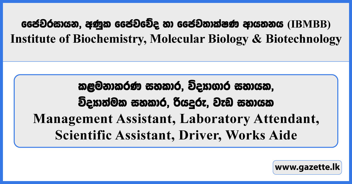 Management Assistant, Laboratory Attendant, Scientific Assistant, Driver, Works Aide - IBMBB Vacancies 2025