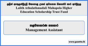 Management Assistant - Lalith Athulathmudali Mahapola Higher Education Scholarship Trust Fund Vacancies 2025