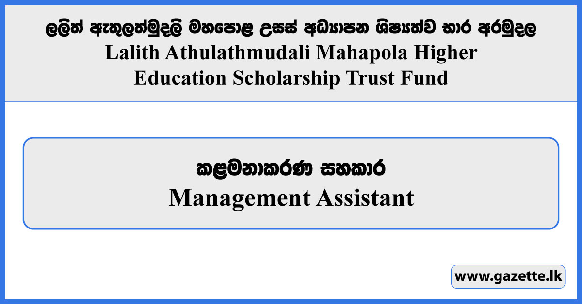 Management Assistant - Lalith Athulathmudali Mahapola Higher Education Scholarship Trust Fund Vacancies 2025