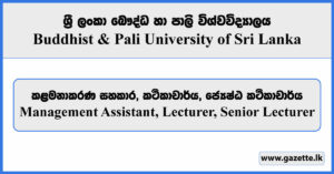 Management Assistant, Lecturer, Senior Lecturer - Buddhist & Pali University of Sri Lanka Vacancies 2024