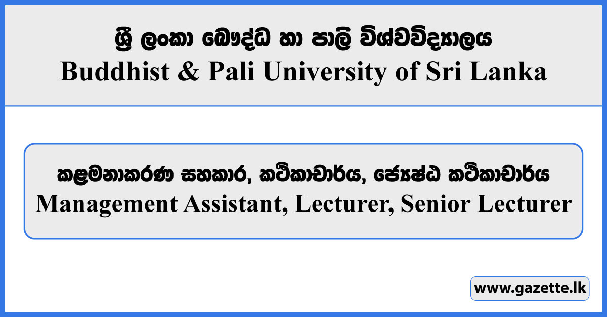Management Assistant, Lecturer, Senior Lecturer - Buddhist & Pali University of Sri Lanka Vacancies 2024