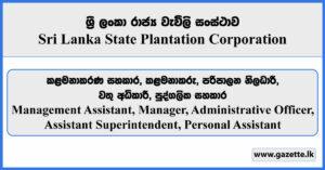 Management Assistant, Manager, Assistant Manager, Administrative Officer, Assistant Superintendent, Personal Assistant - Sri Lanka State Plantation Corporation Vacancies 2025