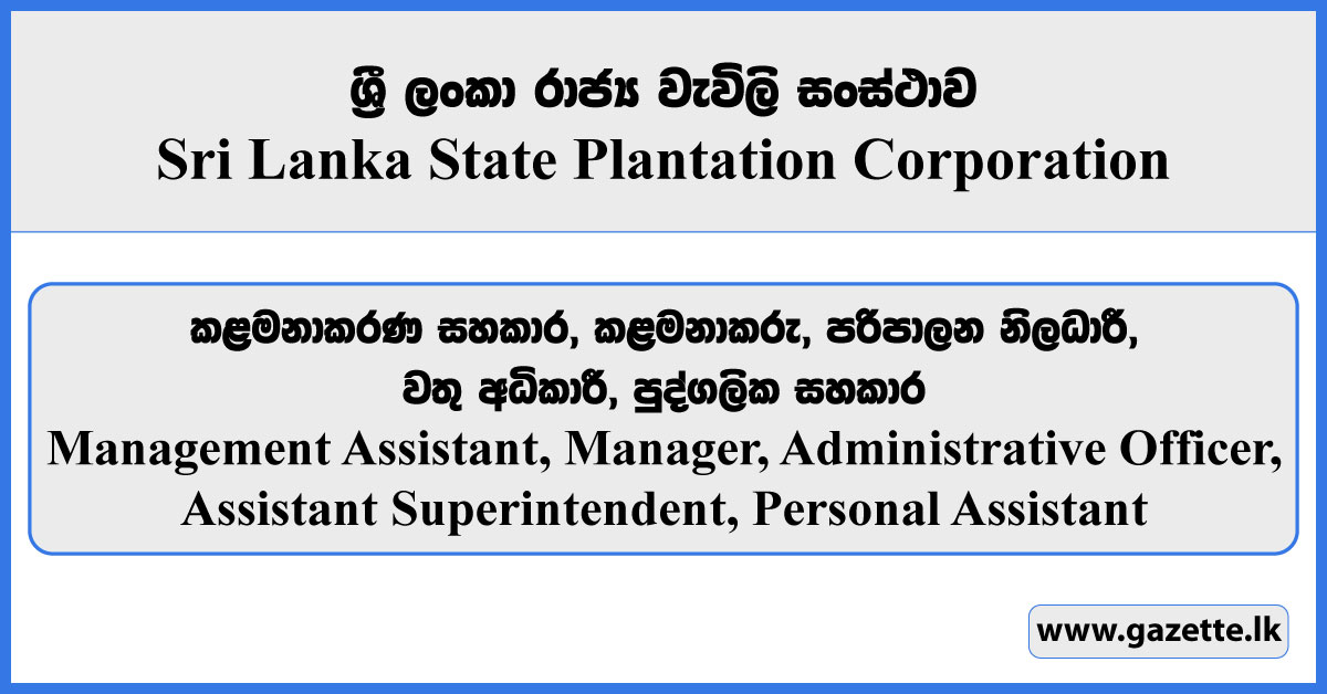 Management Assistant, Manager, Assistant Manager, Administrative Officer, Assistant Superintendent, Personal Assistant - Sri Lanka State Plantation Corporation Vacancies 2025