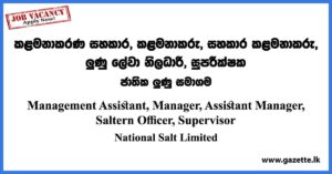 Management Assistant, Manager, Assistant Manager, Saltern Officer, Supervisor - National Salt Limited