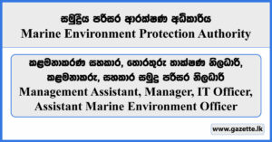 Management Assistant, Manager, Information Technology Officer, Assistant Marine Environment Officer - Marine Environment Protection Authority Vacancies 2024